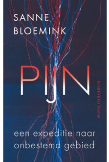 Uitgeverij Pluim Pijn. Expeditie Naar Onbestemd Gebied - Sanne Bloemink