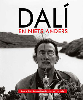 Uitgeverij Wbooks Dali en niets anders - (ISBN:9789462584464)