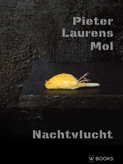 Uitgeverij Wbooks Pieter Laurens Mol. Nachtvlucht
