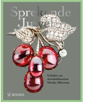 Uitgeverij Wbooks Sprekende Juwelen - Martijn Akkerman