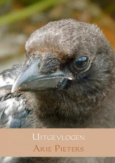 Uitgevlogen - Boek Arie Pieters (9463426655)
