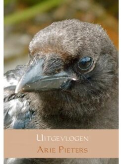 Uitgevlogen - Boek Arie Pieters (9463426655)
