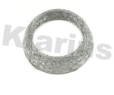 Uitlaatpakking 410170