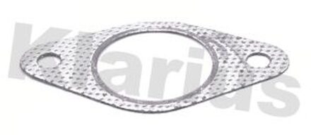 Uitlaatpakking 410174