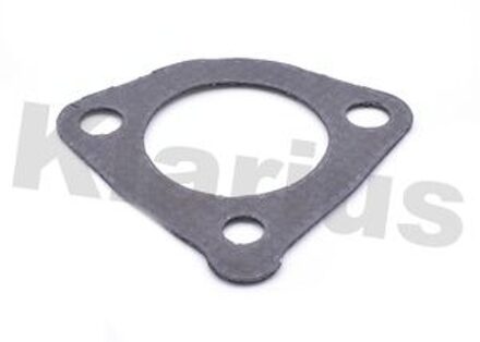 Uitlaatpakking 410684