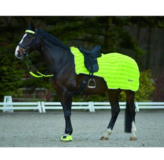 Uitrijdeken Hind Reflectie