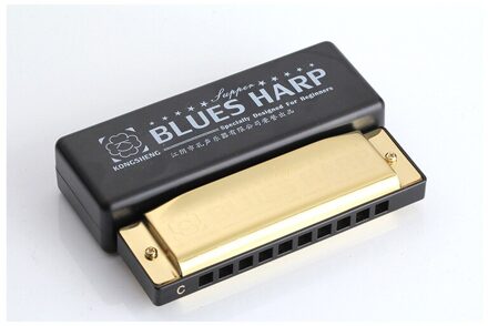 Uitstekende 10 Hole Blues Harmonica Met Case Messing Rvs Armonica Professionale Harmonica Blues zilver