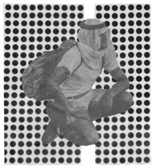 Ulrika Spacek - Album Paranoia