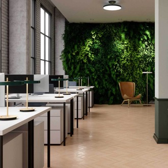 UMAGE Asteria Up Large plafondlamp black - Ø 60 cm Zwart