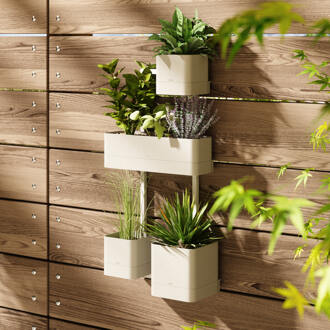 Umbra Wand Plantenbak 'Cubiko' kleur Zand
