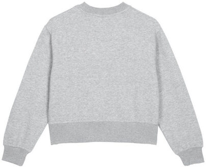 Umbro Dames/Dames Core Boxy Sweatshirt (Grijs gemêleerd/wit) Lichtgrijs