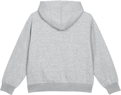 Umbro Dames/Dames Core Hoodie (Grijs gemêleerd/wit) Lichtgrijs - M