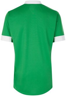 Umbro Heren Tempest Jersey (Smaragd/Wit) - maat M Groen