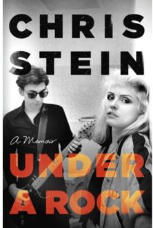 Under A Rock - Chris Stein