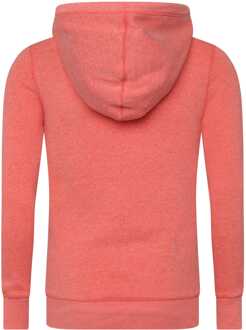 Under Armour Dames Under Armour Fleece Hoodie in Roze - maat EU 38 / UK 10
