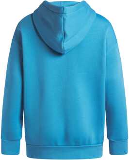 Under Armour Dames Under Armour Icon Fleece Os Hoody in Blauw - UK 4-6 (Womens)