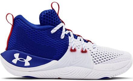 Under Armour GS Embiid 1 Kids Wit/Blauw Basketbalschoenen Veelkleurig