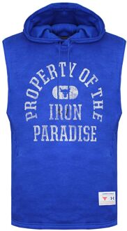 Under Armour Project Rock Heren Blauw Hooded Top - S