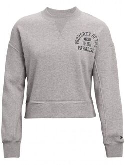 Under Armour Project Rock Womens Grijze Fleece Trui Grijs - XL