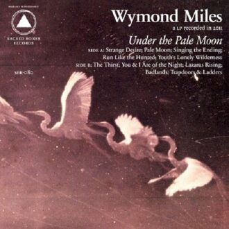 Under The Pale Moon