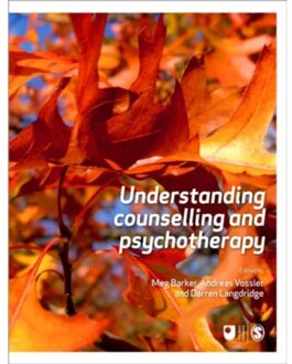 Understanding Counselling and Psychotherapy