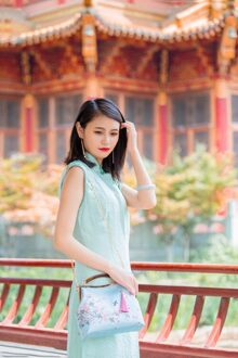 Uniform Tas, Cheongsam Zak, Antieke Tas, Een Schoudertas, , Diner Zak, handgemaakte Tas, Vrouwen Tas, Goud Tas, Vloer Camellia As Usual 1