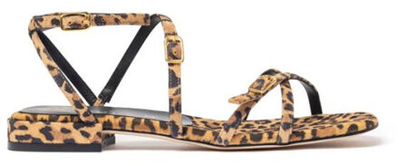 Unisa Hisun lkd Bruin - 40