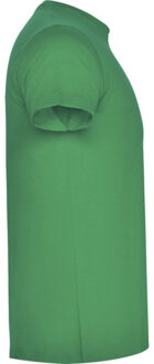 Unisex atomic t-shirt voor volwassenen Groen - XXXL