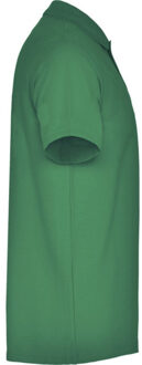 Unisex austral austral poloshirt met korte mouwen voor volwassenen Groen - XL