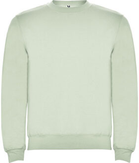 Unisex clasica crew hals sweatshirt voor volwassenen Groen - XL