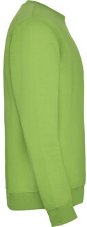 Unisex clasica crew hals sweatshirt voor volwassenen Groen - XL