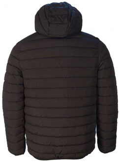 Unisex Volwassen Actieve Gewatteerde Jas met Capuchon (Zwart) - 2XL