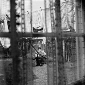 Universal Chaos And Creation In The Backyard - Paul Mccartney