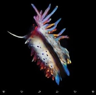 Universal Evolve - Sub Focus