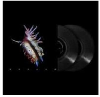 Universal Evolve - Sub Focus