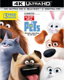 Universal Pictures The Secret Life Of Pets - 4K Ultra HD