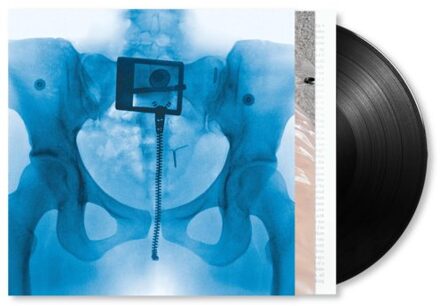 Universal Virgin - Lorde