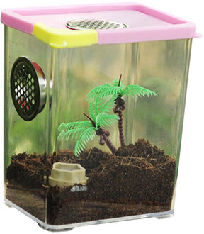 Universele Dierbenodigdheden Reptiel Fokkerij Box Clear Acryl Reptiel Terrarium Voerbox Voor Spider Schorpioen Slang Reptiel Insect 10.5X8X13
