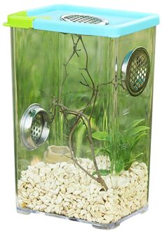 Universele Dierbenodigdheden Reptiel Fokkerij Box Clear Acryl Reptiel Terrarium Voerbox Voor Spider Schorpioen Slang Reptiel Insect 10.5X8X17