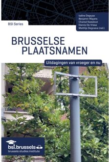Universitaire Pers Leuven Brusselse Plaatsnamen - Bsi Series