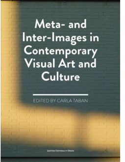 Universitaire Pers Leuven Meta- and inter-images in contemporary visual art and culture - Boek Universitaire Pers Leuven (9058679578)