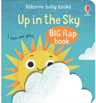 Up In The Sky - Baby's Big Flap Books - Mary Cartwright