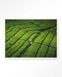 Urban Cotton Wandkleed 'Tote Pengalengan' 145 x 190cm in Floating Frame - off white