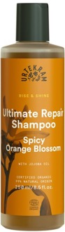 Urtekram Shampoo Urtekram Spicy Orange Blossom Shampoo Droog Haar 250 ml