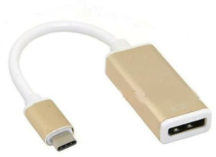 USB 3.1 USB-C Male to Displayport Female Adapter, Silver 10cm - small