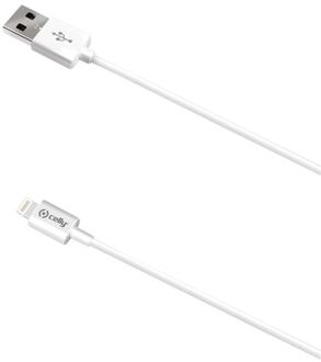 USB-Lightning Kabel Slim Tip, 2 meter - Celly Wit