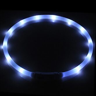 Usb Oplaadbare Knipperende Night Halsbanden Lichtgevende Huisdier Kraag 12 Led Verlichting Usb Halsband Glowing Teddy Flash Kraag Huisdier #30 wit