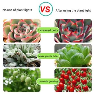 Usb Voeding Led Grow Lamp Plant Grow Light Strip Volledige Spectrum Phyto Lampen Hydrocultuur Plant Bloem Glow Feestartikelen Waterproof 0 5m