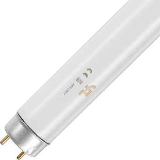 | UV-lamp G13 | 15W