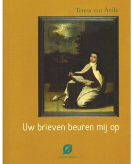 Uw brieven beuren mij op - Boek Iny van Avila (9076671974)